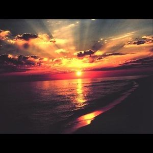 Meet your Posher, Sydney